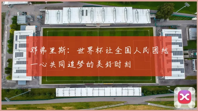 邓弗里斯：世界杯让全国人民团结一心共同追梦的美好时刻